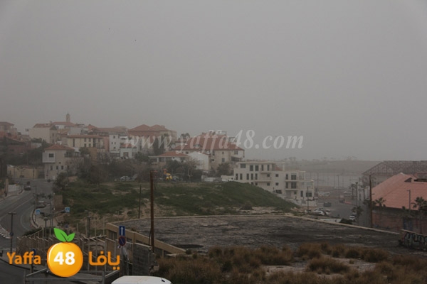 mina2 adrar jfe (19).jpg